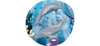 Zwei Delfine unter Wasser