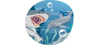 Hai und Delfin unter Wasser