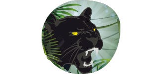 Kopf eines schwarzen Panther im Dschungel