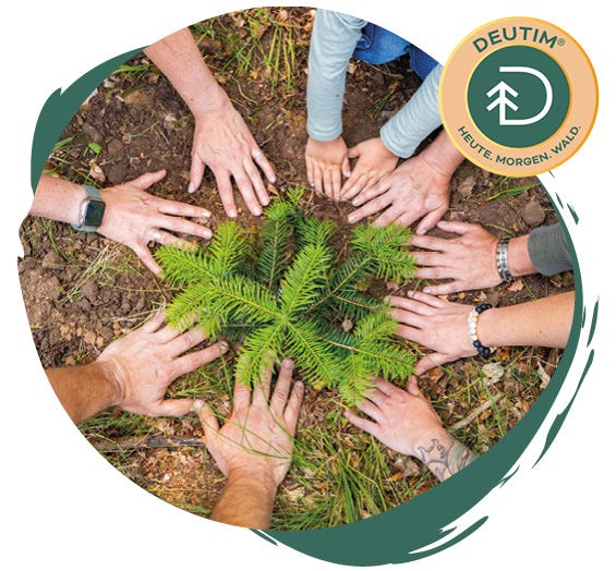 Partnerschaft zwischen Step by Step und Deutim Partnerschaft zwischen Step by Step und Deutim